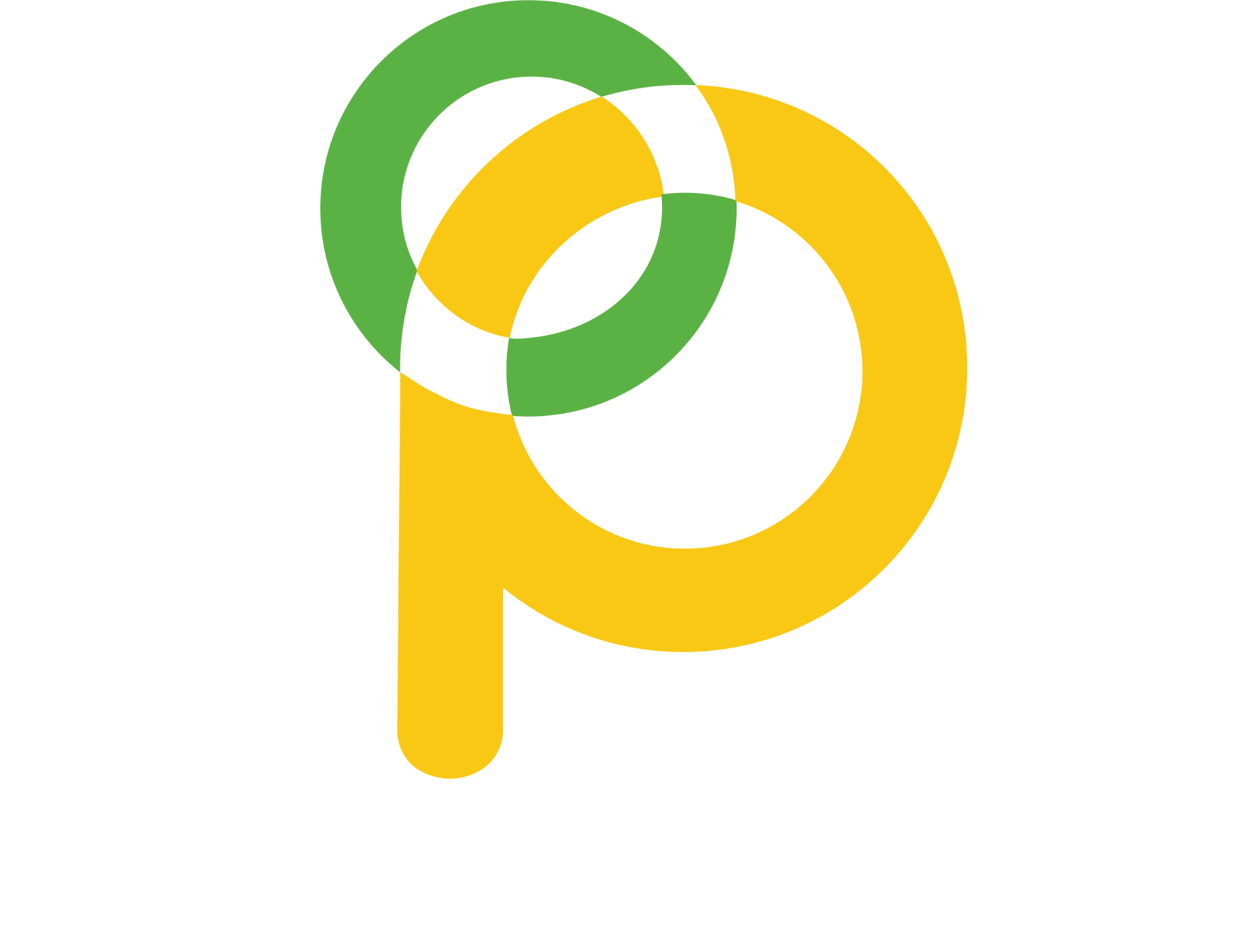 Órbita